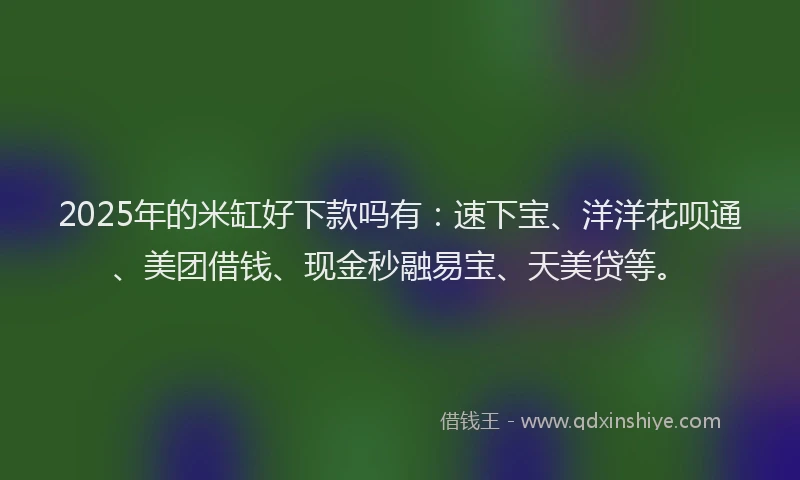 2025年的米缸好下款吗有：速下宝、洋洋花呗通、美团借钱、现金秒融易宝、天美贷等。