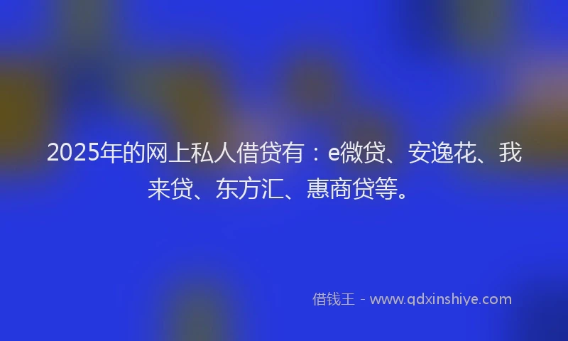 2025年的网上私人借贷有：e微贷、安逸花、我来贷、东方汇、惠商贷等。