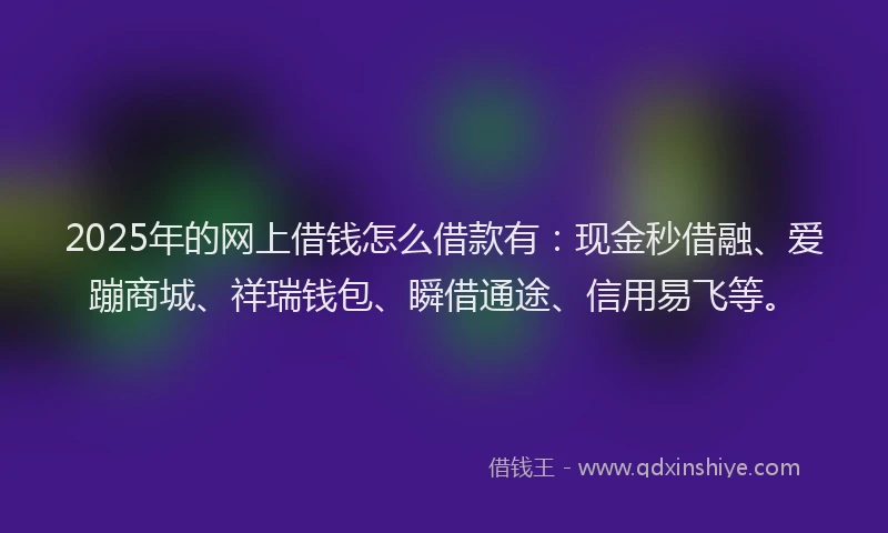 2025年的网上借钱怎么借款有：现金秒借融、爱蹦商城、祥瑞钱包、瞬借通途、信用易飞等。