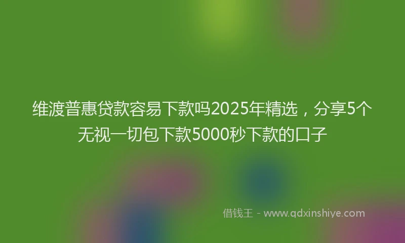 维渡普惠贷款容易下款吗2025年精选，分享5个无视一切包下款5000秒下款的口子