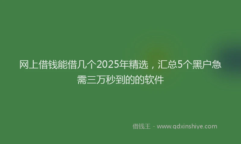 网上借钱能借几个2025年精选，汇总5个黑户急需三万秒到的的软件