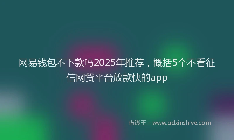 网易钱包不下款吗2025年推荐，概括5个不看征信网贷平台放款快的app