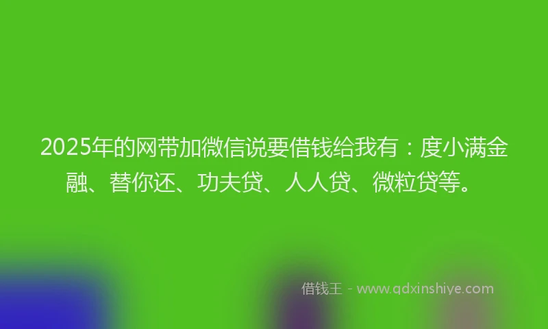 2025年的网带加微信说要借钱给我有：度小满金融、替你还、功夫贷、人人贷、微粒贷等。