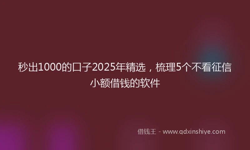 秒出1000的口子2025年精选，梳理5个不看征信小额借钱的软件