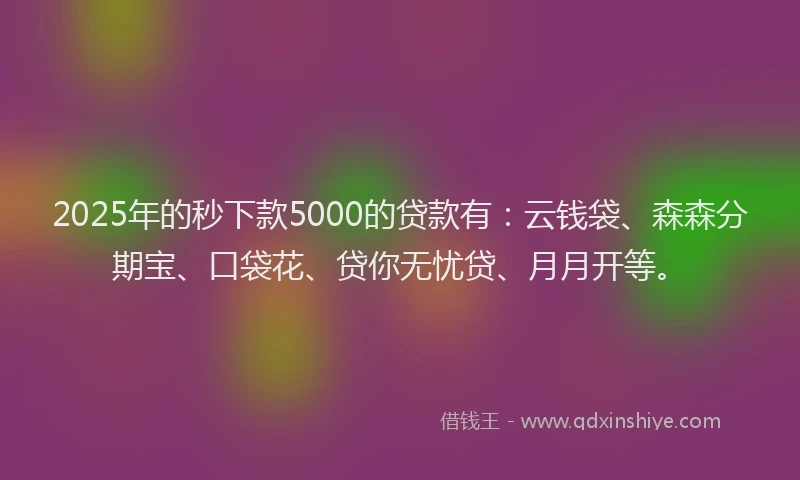 2025年的秒下款5000的贷款有：云钱袋、森森分期宝、口袋花、贷你无忧贷、月月开等。