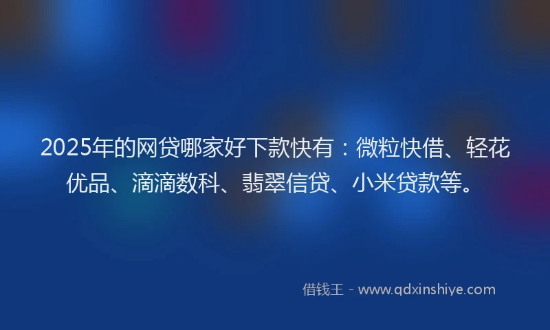 2025年的网贷哪家好下款快有：微粒快借、轻花优品、滴滴数科、翡翠信贷、小米贷款等。