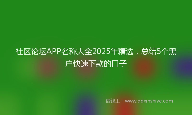 社区论坛APP名称大全2025年精选，总结5个黑户快速下款的口子
