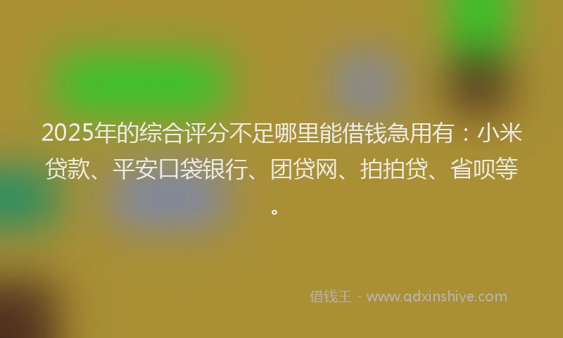 2025年的综合评分不足哪里能借钱急用有：小米贷款、平安口袋银行、团贷网、拍拍贷、省呗等。