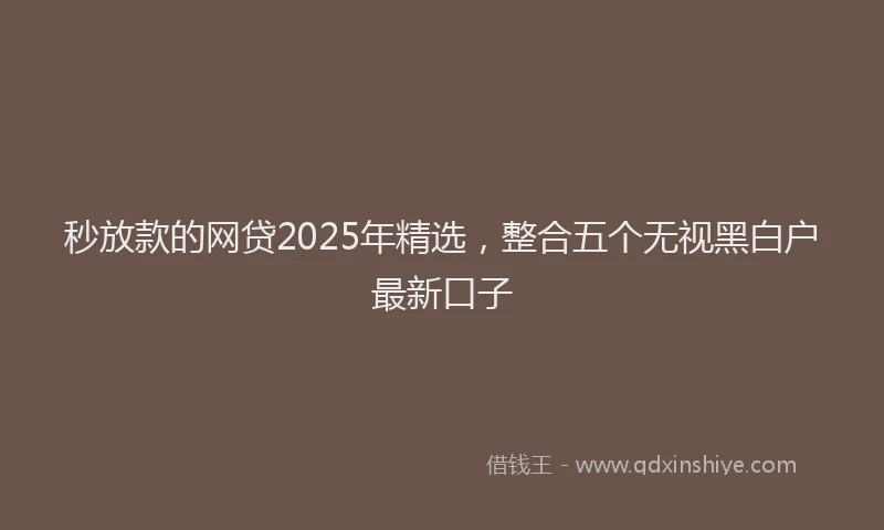 秒放款的网贷2025年精选，整合五个无视黑白户最新口子