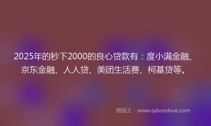 2025年的秒下2000的良心贷款有：度小满金融、京东金融、人人贷、美团生活费、柯基贷等。