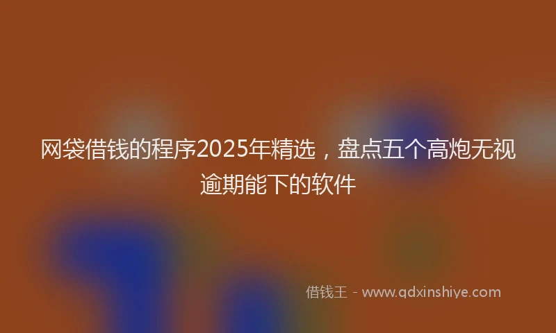 网袋借钱的程序2025年精选，盘点五个高炮无视逾期能下的软件