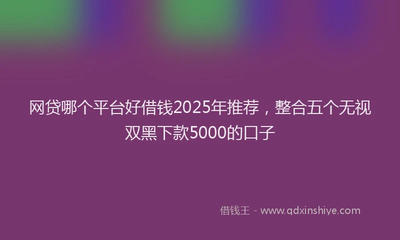 网贷哪个平台好借钱2025年推荐，整合五个无视双黑下款5000的口子
