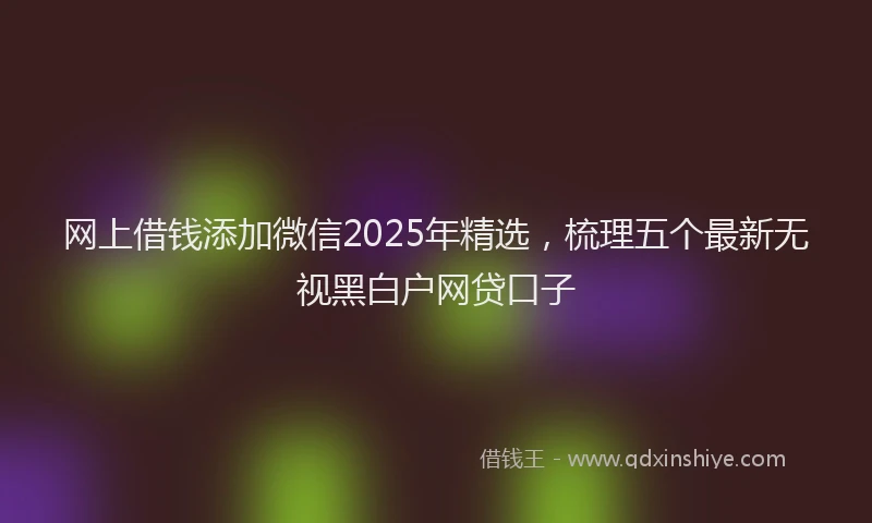 网上借钱添加微信2025年精选，梳理五个最新无视黑白户网贷口子
