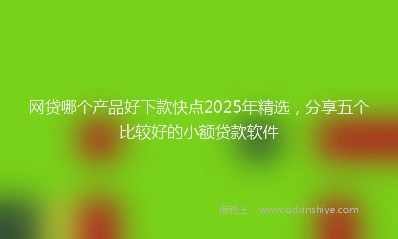 网贷哪个产品好下款快点2025年精选，分享五个比较好的小额贷款软件