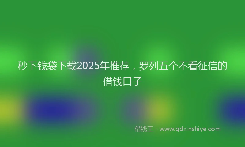 秒下钱袋下载2025年推荐，罗列五个不看征信的借钱口子
