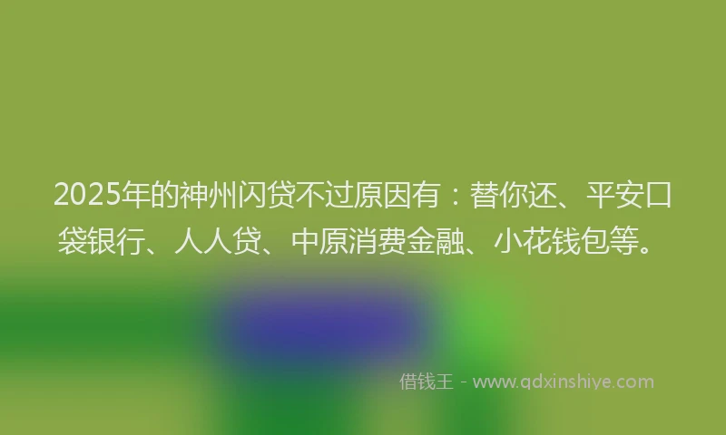 2025年的神州闪贷不过原因有：替你还、平安口袋银行、人人贷、中原消费金融、小花钱包等。
