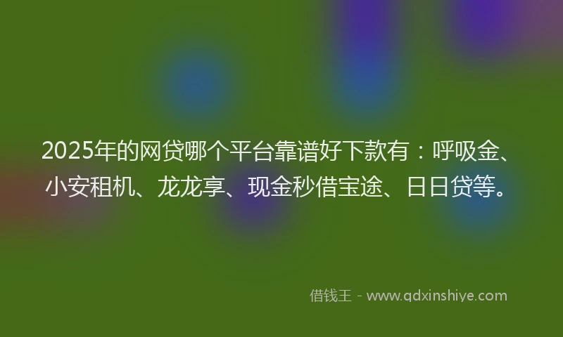 2025年的网贷哪个平台靠谱好下款有：呼吸金、小安租机、龙龙享、现金秒借宝途、日日贷等。