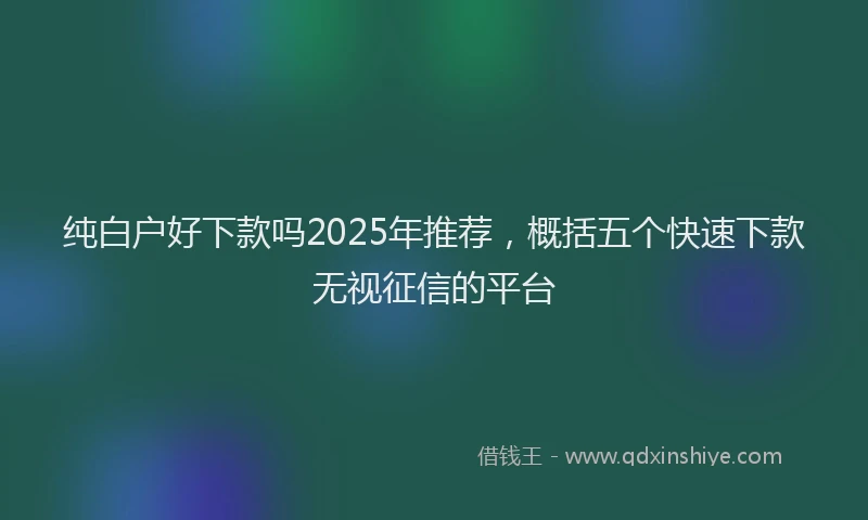纯白户好下款吗2025年推荐，概括五个快速下款无视征信的平台