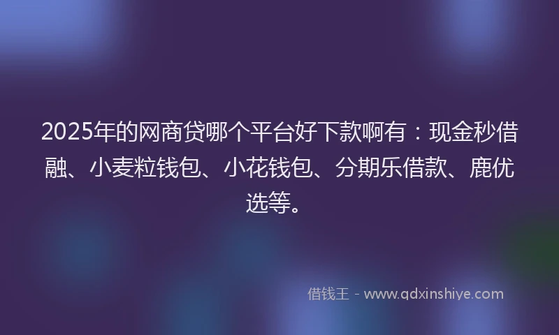 2025年的网商贷哪个平台好下款啊有：现金秒借融、小麦粒钱包、小花钱包、分期乐借款、鹿优选等。
