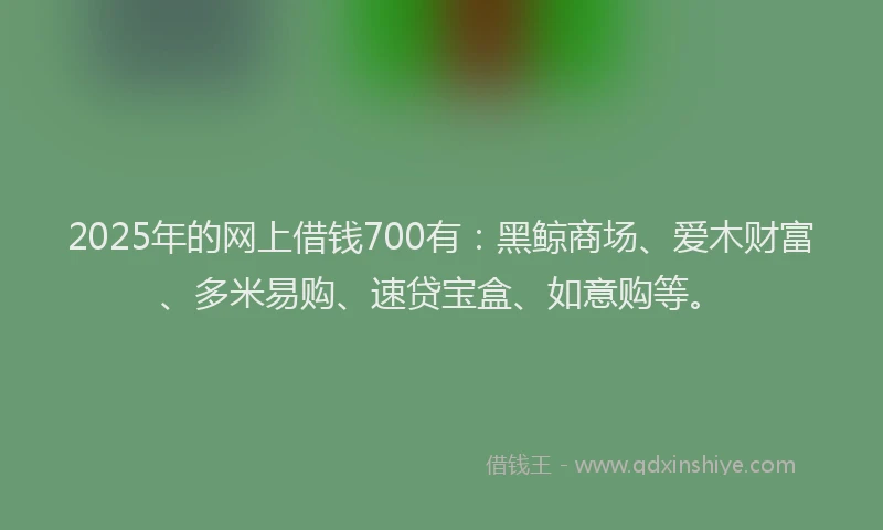 2025年的网上借钱700有：黑鲸商场、爱木财富、多米易购、速贷宝盒、如意购等。