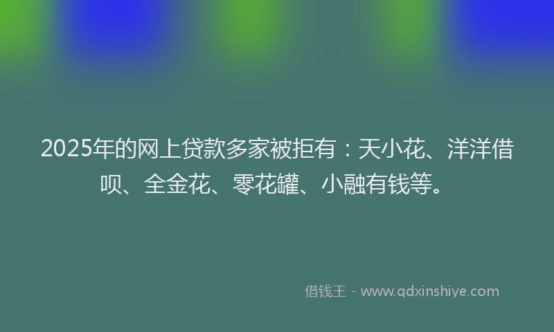 2025年的网上贷款多家被拒有：天小花、洋洋借呗、全金花、零花罐、小融有钱等。
