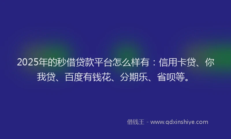 2025年的秒借贷款平台怎么样有：信用卡贷、你我贷、百度有钱花、分期乐、省呗等。
