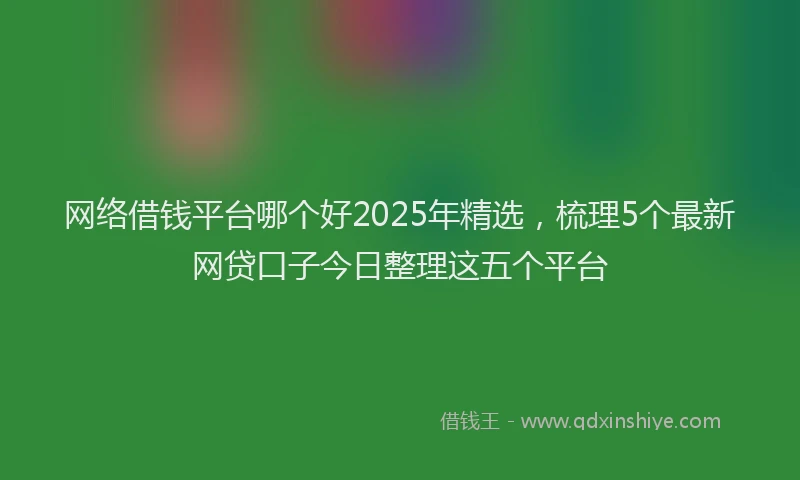 网络借钱平台哪个好2025年精选，梳理5个最新网贷口子今日整理这五个平台