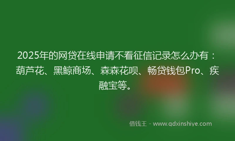 2025年的网贷在线申请不看征信记录怎么办有：葫芦花、黑鲸商场、森森花呗、畅贷钱包Pro、疾融宝等。