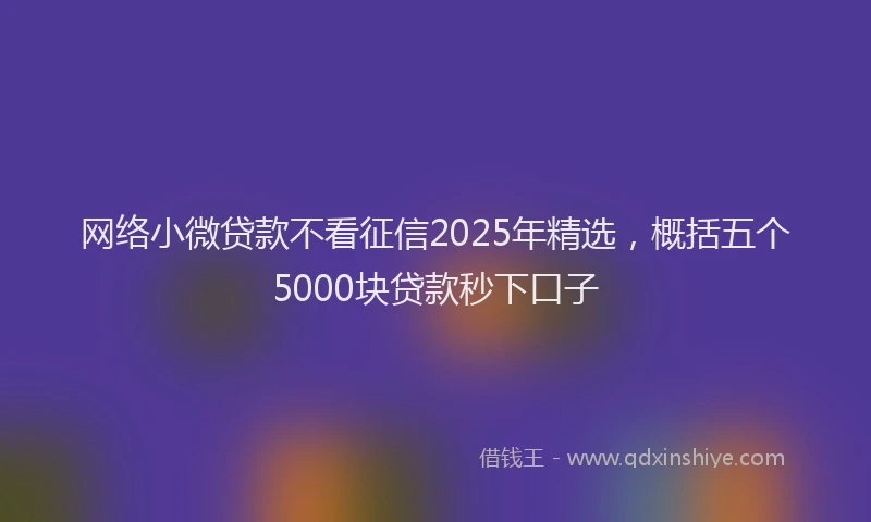 网络小微贷款不看征信2025年精选，概括五个5000块贷款秒下口子