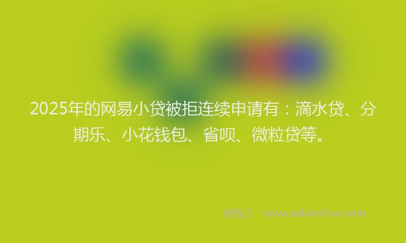2025年的网易小贷被拒连续申请有：滴水贷、分期乐、小花钱包、省呗、微粒贷等。