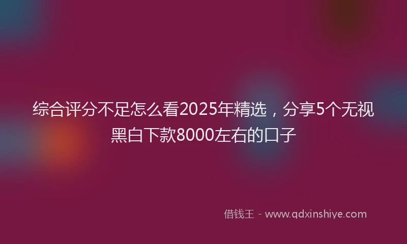 综合评分不足怎么看2025年精选，分享5个无视黑白下款8000左右的口子