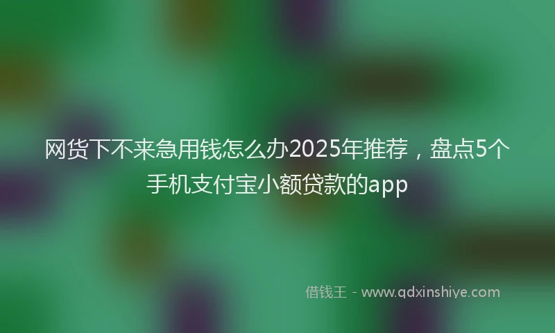 网货下不来急用钱怎么办2025年推荐，盘点5个手机支付宝小额贷款的app