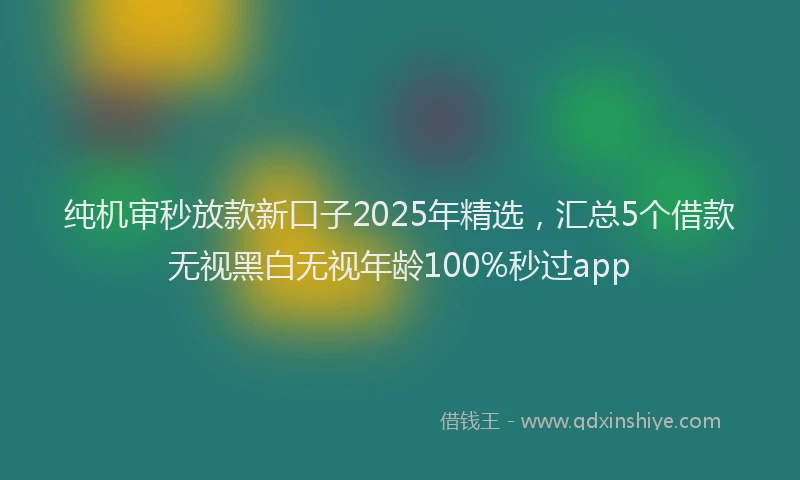 纯机审秒放款新口子2025年精选，汇总5个借款无视黑白无视年龄100%秒过app