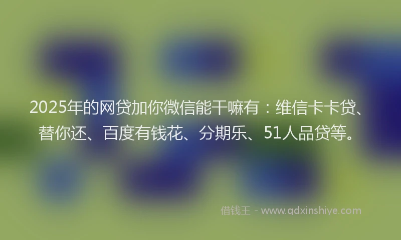 2025年的网贷加你微信能干嘛有：维信卡卡贷、替你还、百度有钱花、分期乐、51人品贷等。