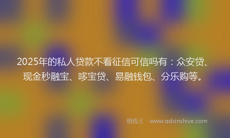 2025年的私人贷款不看征信可信吗有：众安贷、现金秒融宝、哆宝贷、易融钱包、分乐购等。