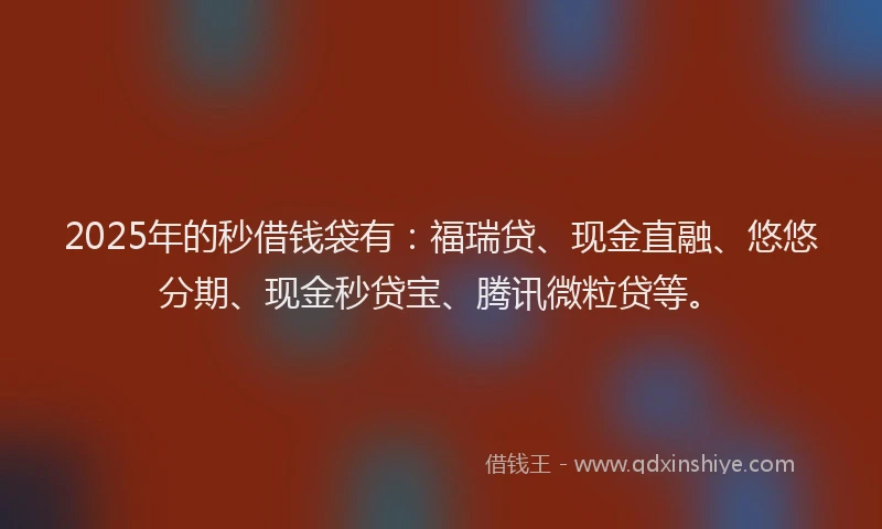 2025年的秒借钱袋有：福瑞贷、现金直融、悠悠分期、现金秒贷宝、腾讯微粒贷等。