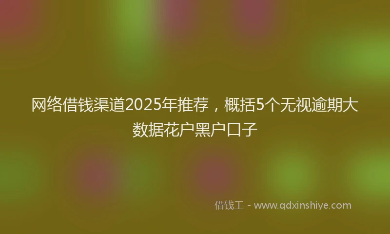 网络借钱渠道2025年推荐，概括5个无视逾期大数据花户黑户口子