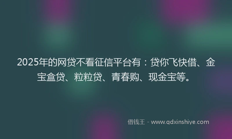2025年的网贷不看征信平台有：贷你飞快借、金宝盒贷、粒粒贷、青春购、现金宝等。