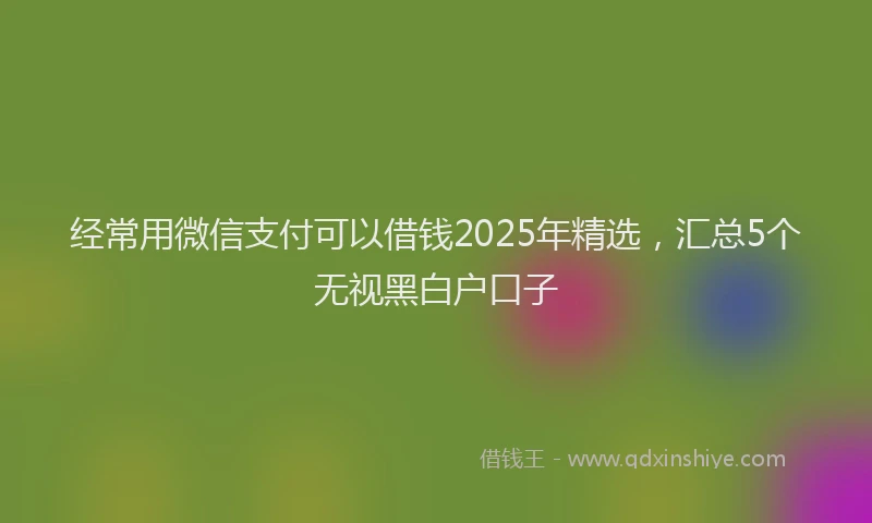 经常用微信支付可以借钱2025年精选，汇总5个无视黑白户口子