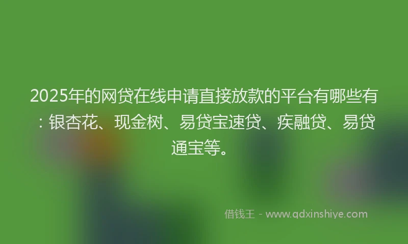 2025年的网贷在线申请直接放款的平台有哪些有：银杏花、现金树、易贷宝速贷、疾融贷、易贷通宝等。