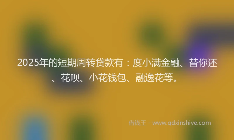 2025年的短期周转贷款有：度小满金融、替你还、花呗、小花钱包、融逸花等。
