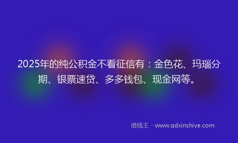 2025年的纯公积金不看征信有：金色花、玛瑙分期、银票速贷、多多钱包、现金网等。