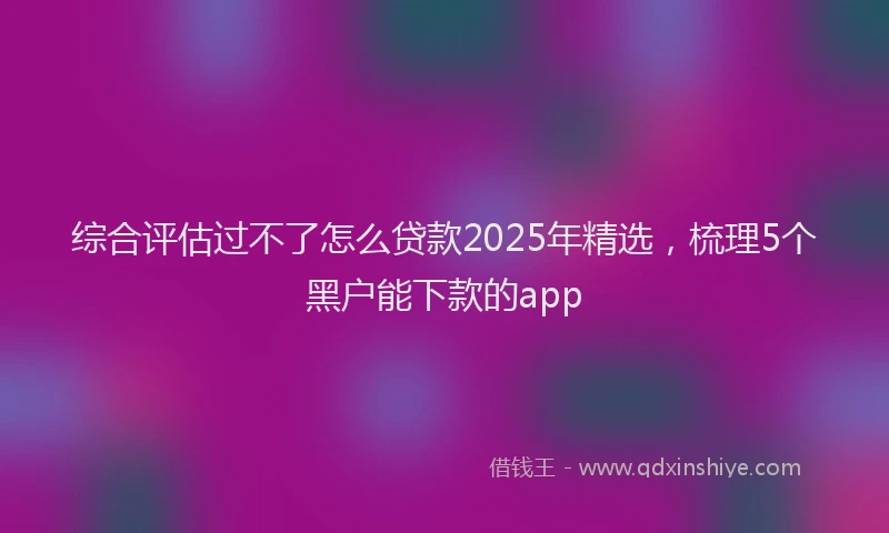 综合评估过不了怎么贷款2025年精选，梳理5个黑户能下款的app