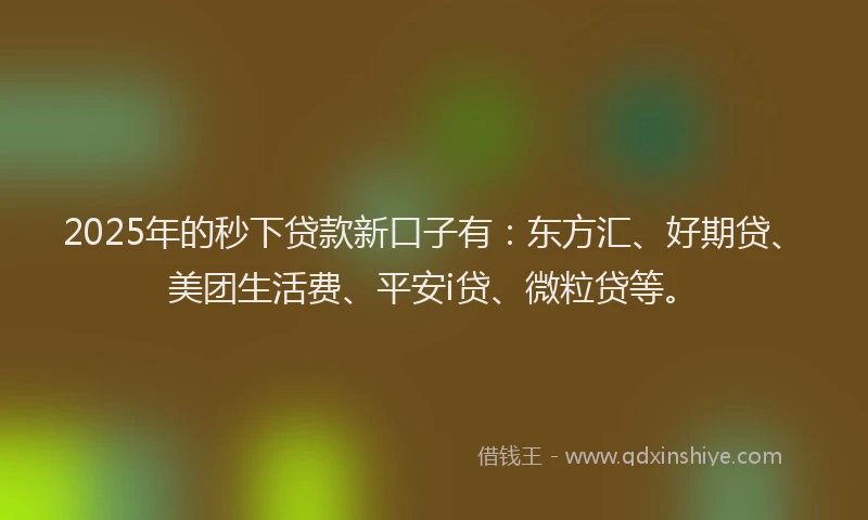 2025年的秒下贷款新口子有：东方汇、好期贷、美团生活费、平安i贷、微粒贷等。
