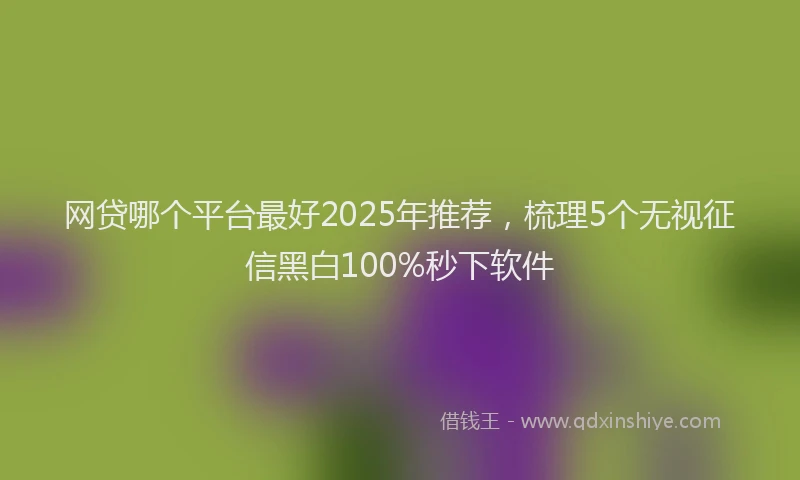 网贷哪个平台最好2025年推荐，梳理5个无视征信黑白100%秒下软件