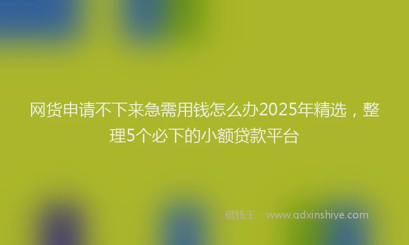 网货申请不下来急需用钱怎么办2025年精选，整理5个必下的小额贷款平台