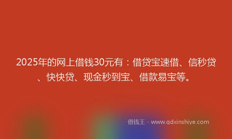 2025年的网上借钱30元有：借贷宝速借、信秒贷、快快贷、现金秒到宝、借款易宝等。