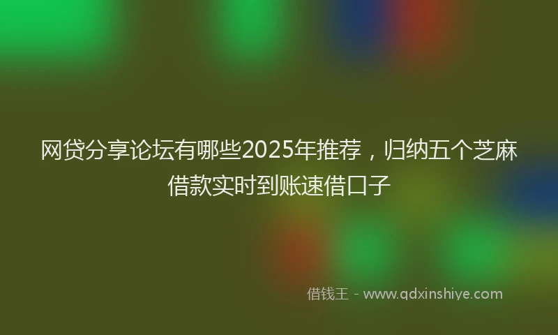 网贷分享论坛有哪些2025年推荐，归纳五个芝麻借款实时到账速借口子
