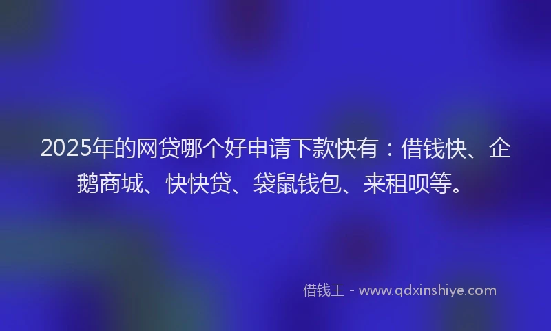 2025年的网贷哪个好申请下款快有：借钱快、企鹅商城、快快贷、袋鼠钱包、来租呗等。