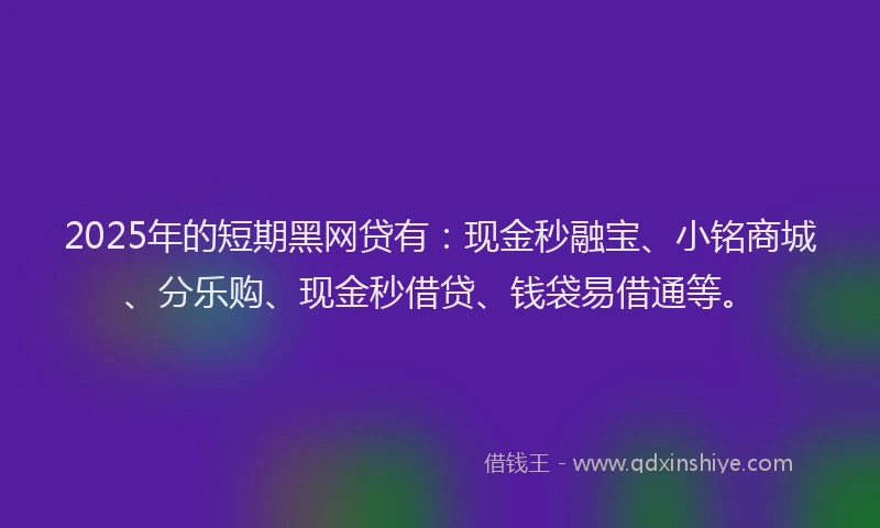 2025年的短期黑网贷有：现金秒融宝、小铭商城、分乐购、现金秒借贷、钱袋易借通等。